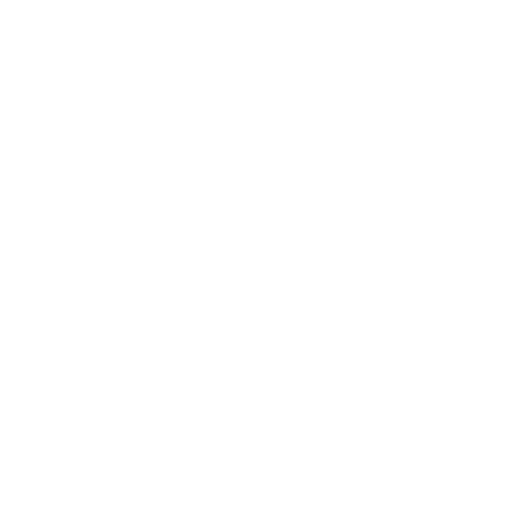 icon1
