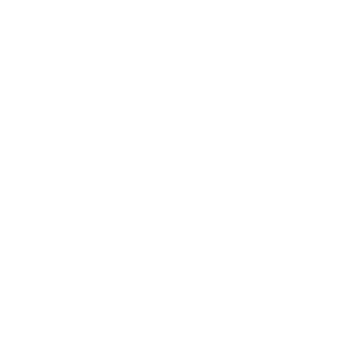 icon1