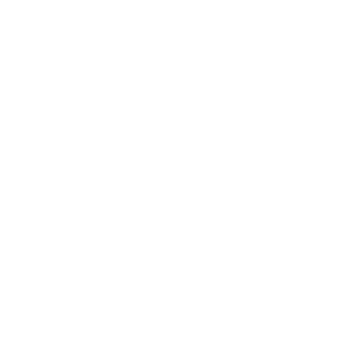 icon1