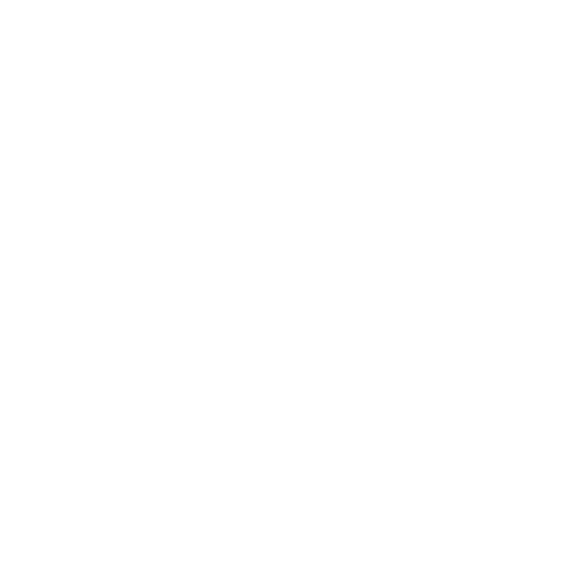icon1